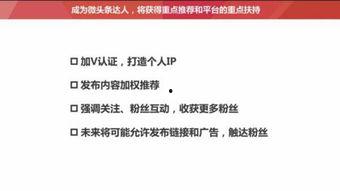政务头条怎么提高阅读量,五大策略助您提升阅读量，让政策资讯触达更多人