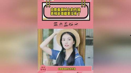 代拍爆料白鹿视频,代拍背后的真相与争议