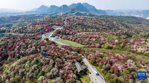 毕节市官田网红地,探寻贵州田园风光新地标