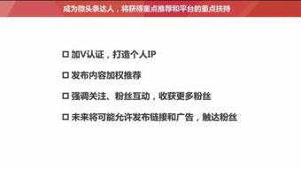头条号如何增加粉丝,五大秘诀助你快速吸粉