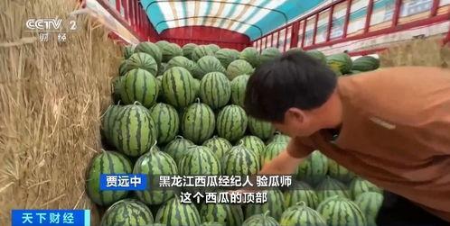 吃瓜要钱的,揭秘网络时代的新现象
