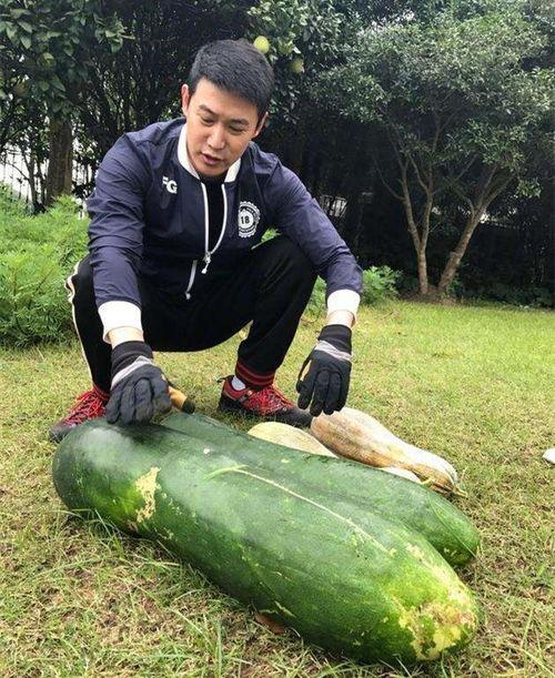 花小龙王老师爆瓜,花小龙王老师揭秘娱乐圈惊天内幕