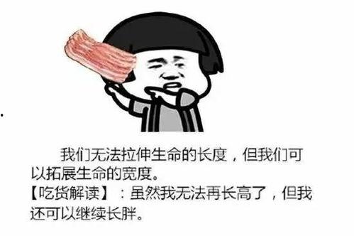 吃瓜口感文案句子搞笑,吃瓜群众的搞笑口感日记