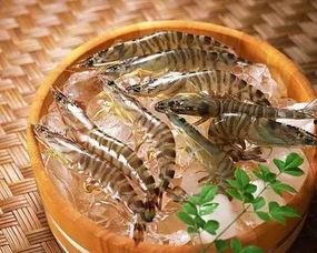 日料店甜虾爆料怎么做视频,日料店独家甜虾制作过程大揭秘