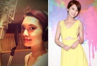 明星真人PS都有什么,揭秘虚拟与现实的完美融合