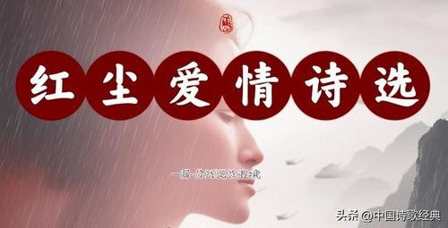 头条最优秀的诗作者排名,揭秘最优秀诗作者排名榜单