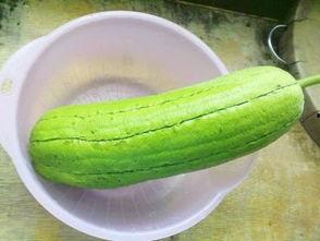 孕妇吃长水瓜,长水瓜助力母婴健康